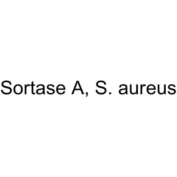 Sortase A, S. aureus (SrtA) 9033-39-0